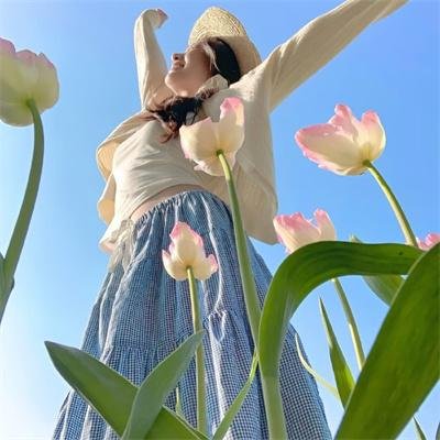 知更鸟